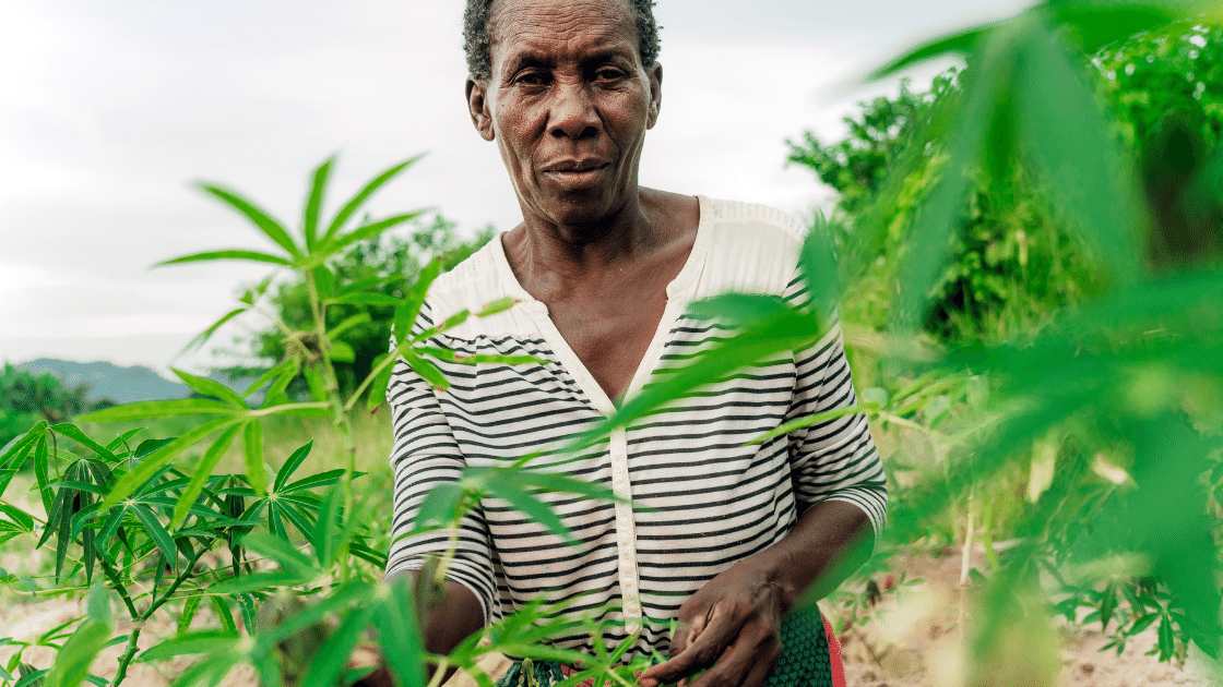 Algorand and Boston University want to increase access to machinery for African farmers