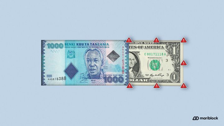 Tanzanian central bank calls for the de-dollarization of local market