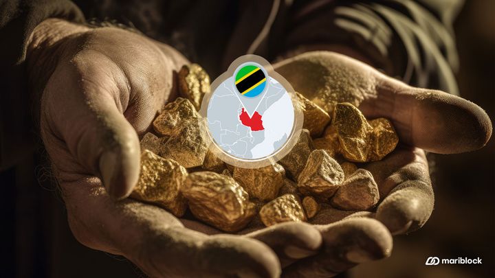 Tanzania moves to diversify its foreign reserves with gold