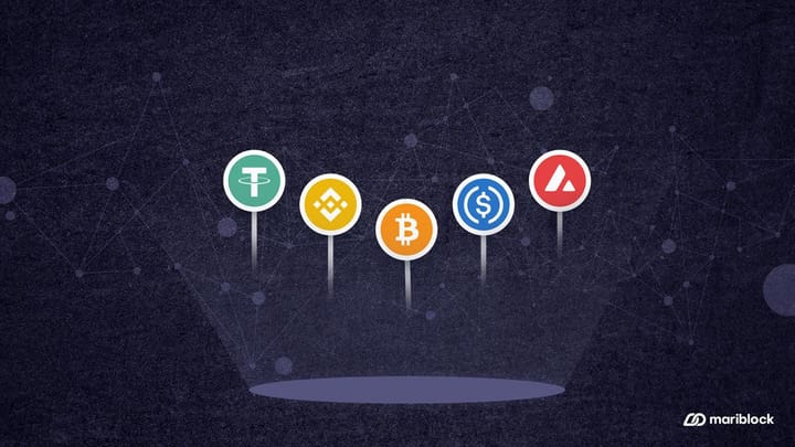 Stablecoins grossed more transaction volume than Visa in 2024 — Report